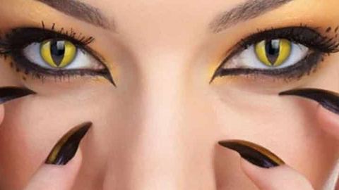 The essential things to know about Halloween lenses