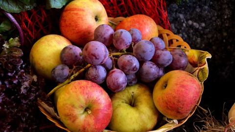Livraison de fruits en entreprise : une alimentation équilibrée garantie !