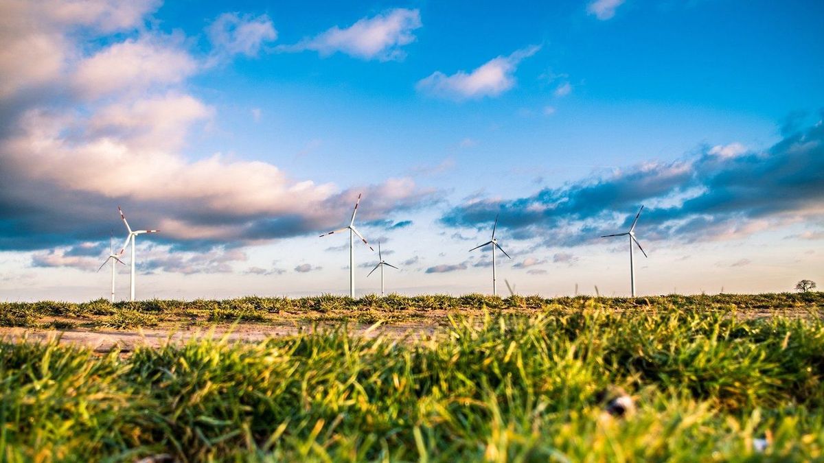 Tout savoir sur l’énergie verte