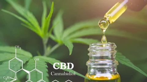 Le cannabidiol : quelles sont les raisons de sa popularité ?