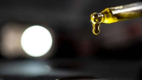 Cannabis terapéutico: ¿un nuevo fármaco para tratar la epilepsia?