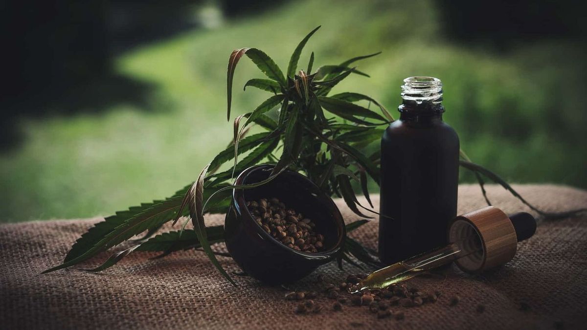 La consommation de fleurs et de résine de CBD