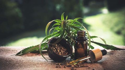 What are the benefits of CBD oil?