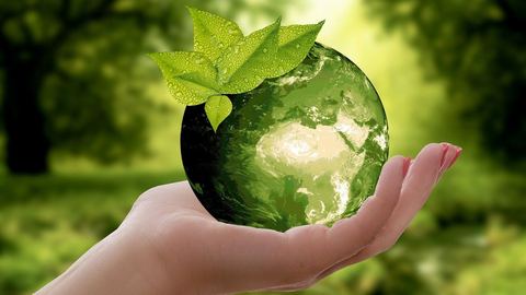 Qu’est-ce que le Greenwashing ? Explications et définitions