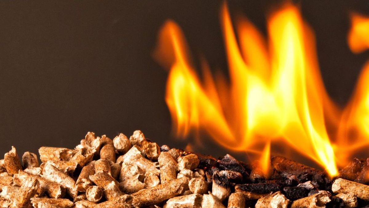 Wood pellets, the most practical fuel for your heating