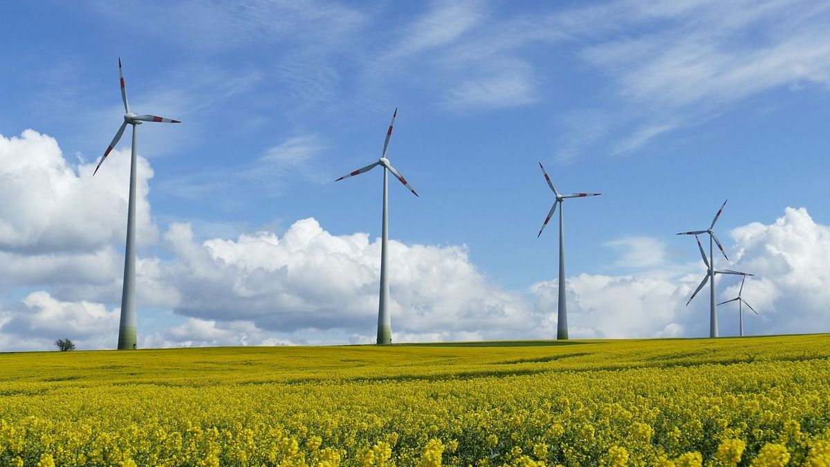 Les avantages de l’énergie verte renouvelable