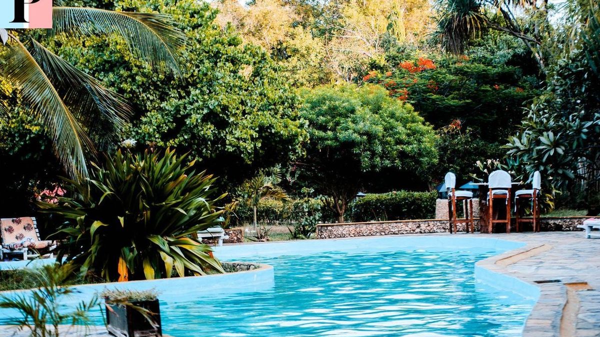 Les skimmers de piscine: élément clé pour une eau propre et un entretien efficace