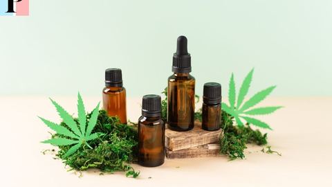 CBD como opción para combatir la epilepsia: estudios, beneficios y recomendaciones