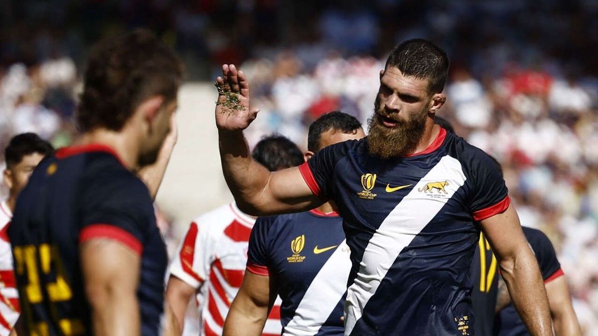 Mira en vivo los cuartos de final de la Copa Mundial de Rugby 2023