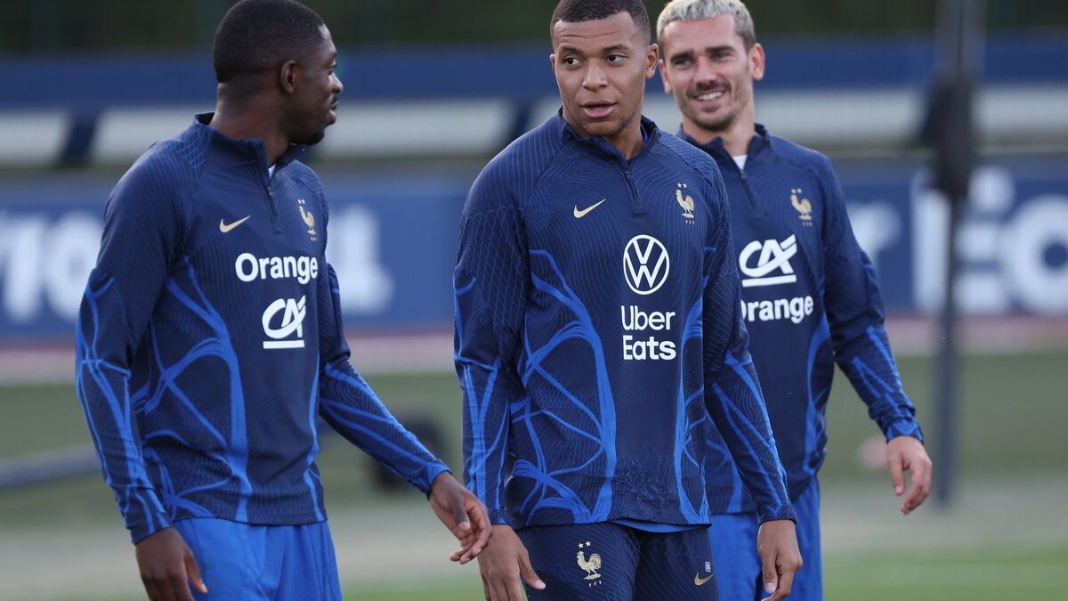 Where and when to watch the match between France and the Netherlands: channel and schedule of the Blues match.