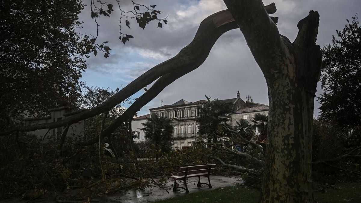 Huit départements, dont le Pas-de-Calais, en alerte orange pour des risques d'inondation suite à de fortes précipitations.