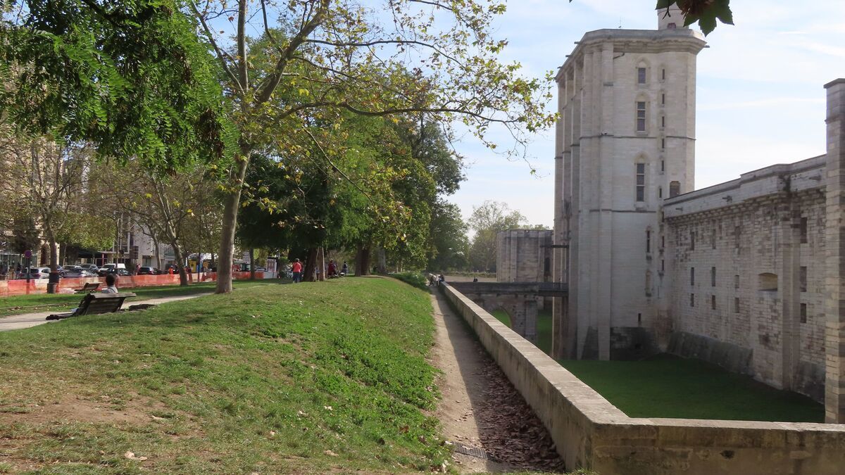 Lecombat pour les platanes sur les environs de château de Vincennes commence avec sa rénovation.