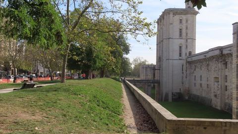 Lecombat pour les platanes sur les environs de château de Vincennes commence avec sa rénovation.
