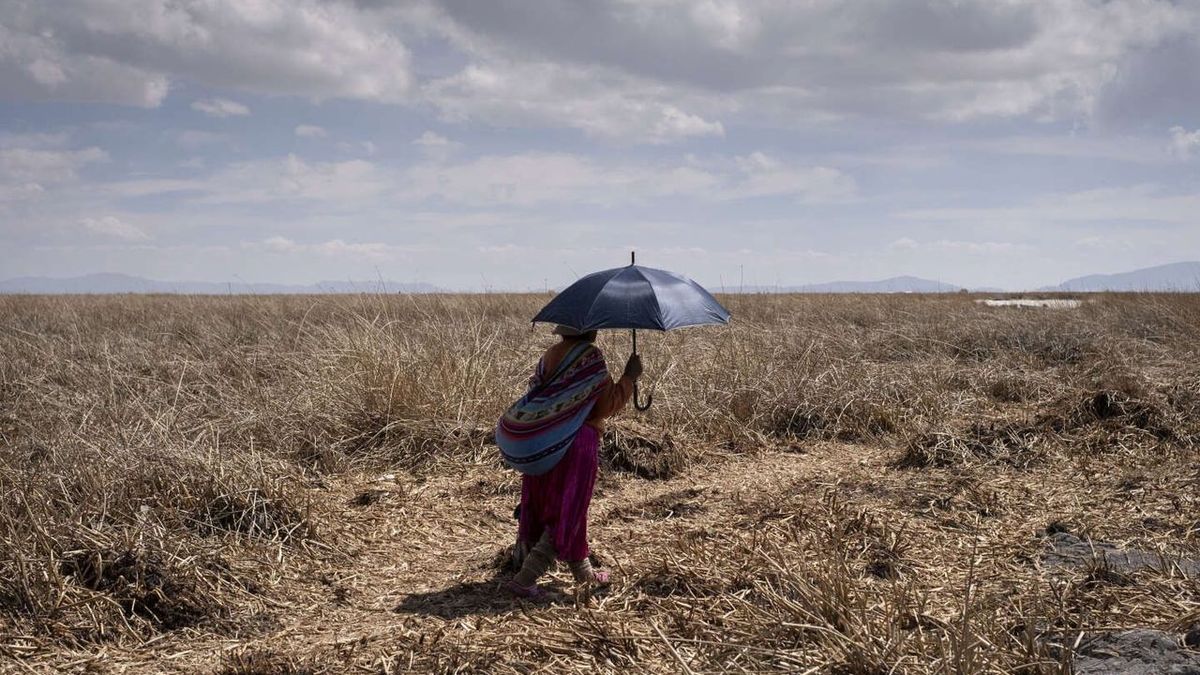 Una primavera históricamente cálida abruma a los residentes sudamericanos