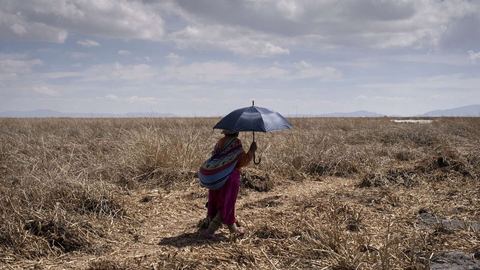 Una primavera históricamente cálida abruma a los residentes sudamericanos