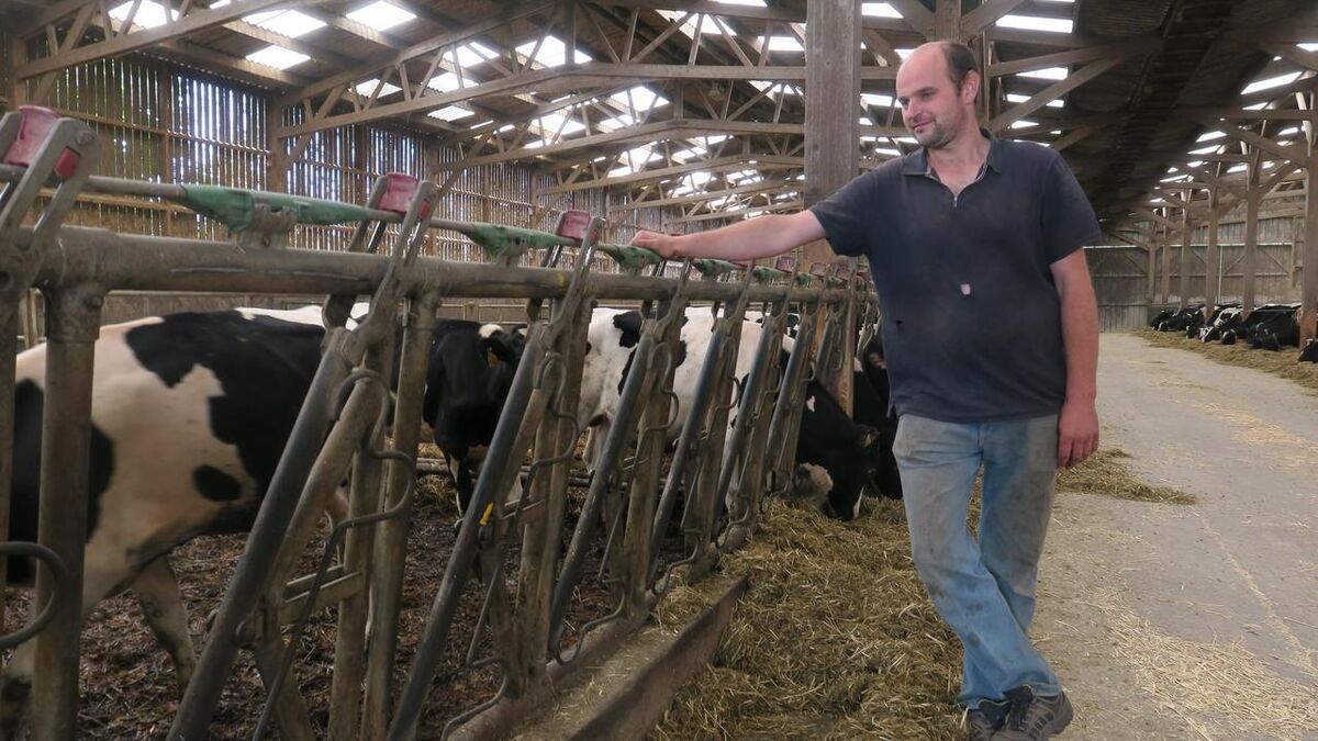 Agriculteur de l'Oise sanctionné pour les nuisances de ses vaches : un rassemblement en sa faveur