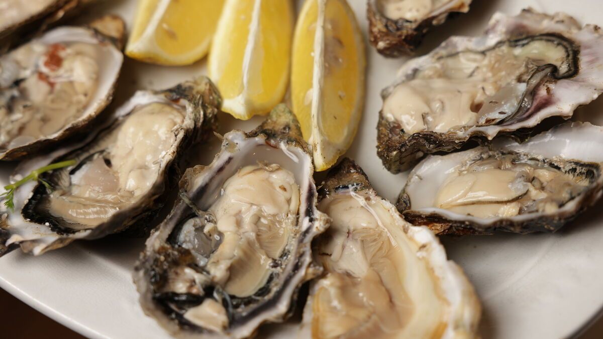 Alerte aux intoxications alimentaires : Après le bassin d’Arcachon, des huîtres de Normandie sont déclarées non comestibles.