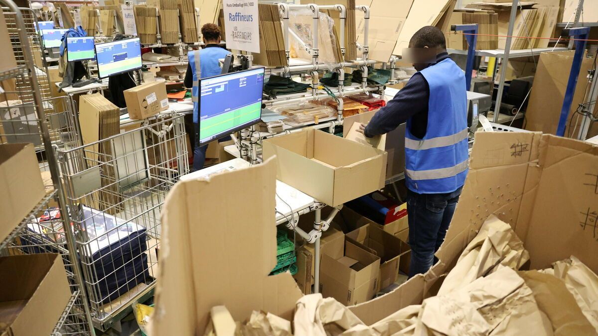 Cdiscount remporte un franc succès dans la réduction des emballages pour la livraison de colis