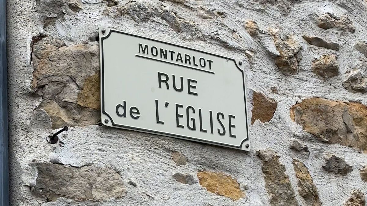 La commune de Seine-et-Marne où les colis se perdent toujours : 40 noms de rues identiques dans la langue Française en vidéo