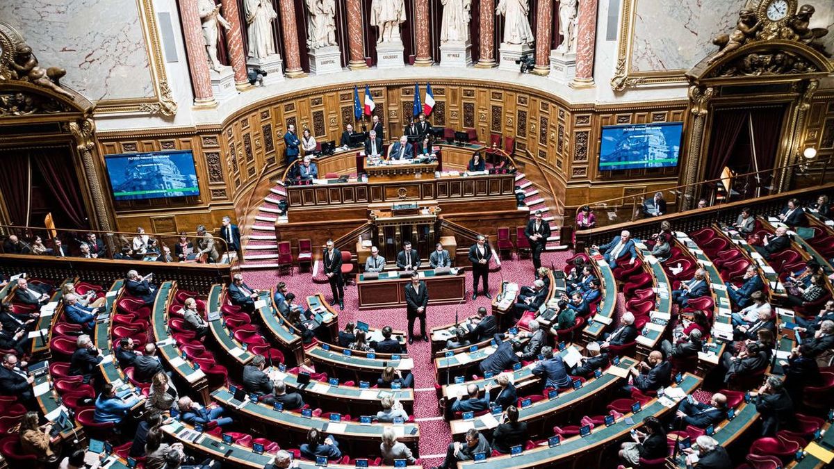 La Sra. Oudéa-Castéra no logró convencer al Senado de que dispusiera de recursos suficientes para satisfacer sus ambiciones y necesidades.