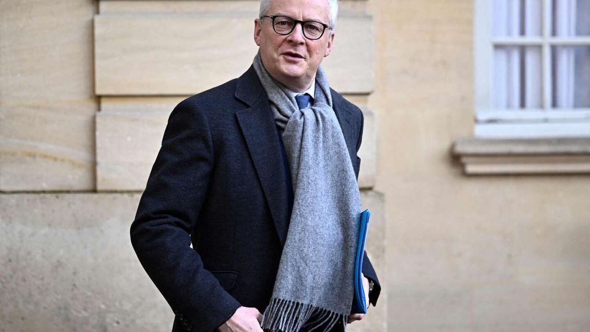 Aumento del 8,6 al 9,8% en los precios de la electricidad desde el 1 de febrero, declara Bruno Le Maire