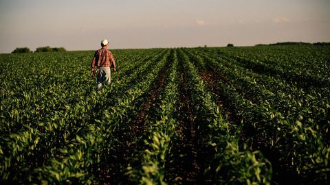 Estos agricultores expresan su exasperación por el peso de la administración que pesa sobre su vida cotidiana.