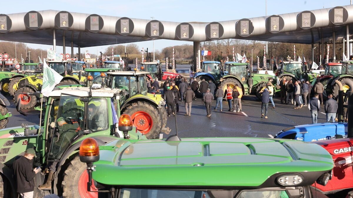 Agricultural Demonstration: The FNSEA and JA unions are planning a “blockade” of Paris from Monday