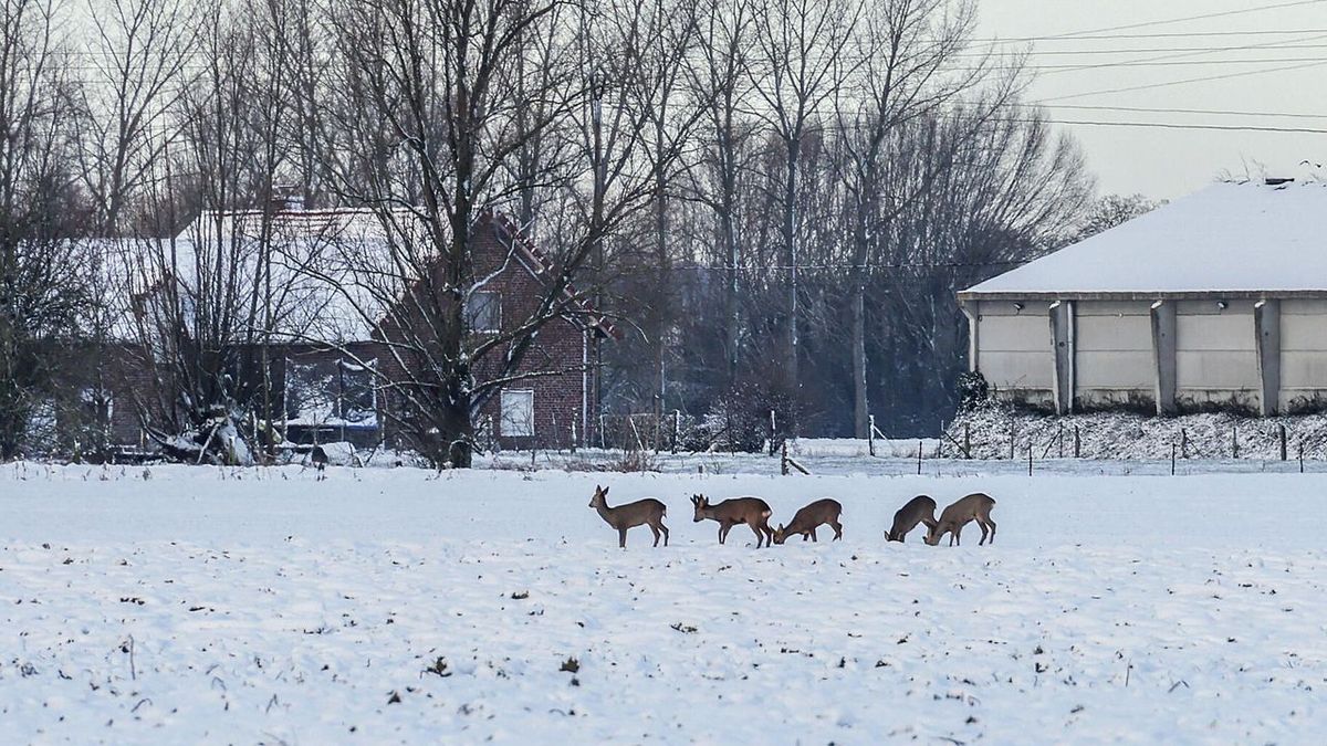Record de froid battu ce vendredi 19 janvier à Arras