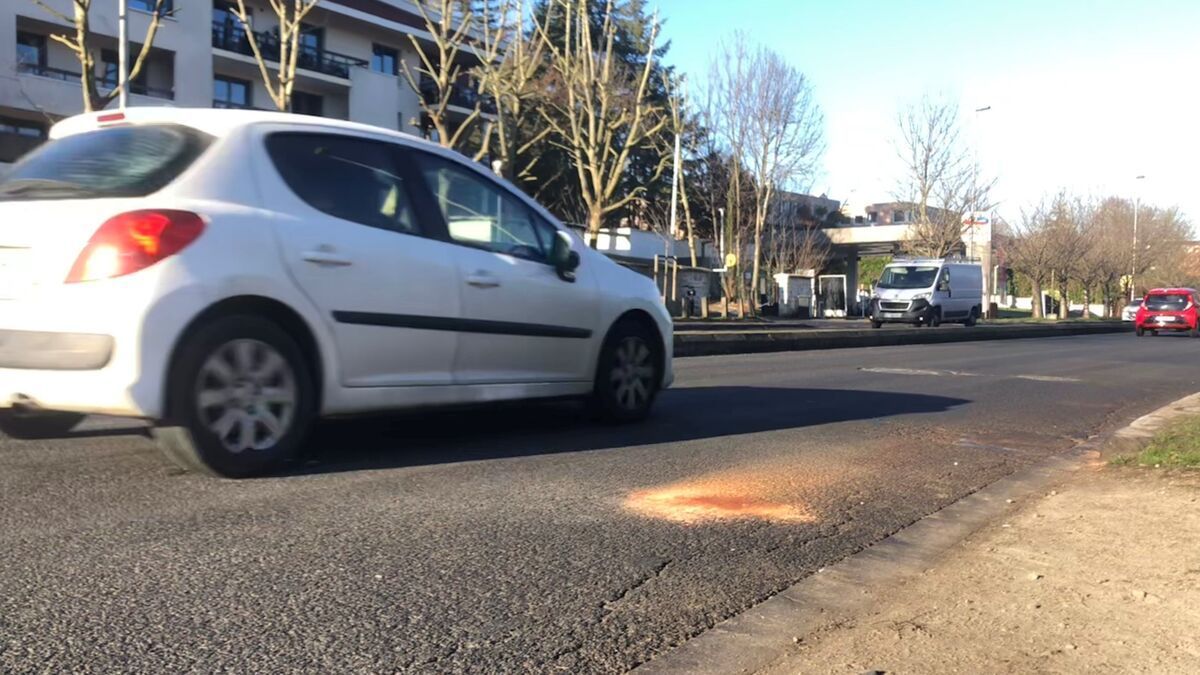 Tragédie à Louveciennes : un piéton mortellement percuté sur la D113 à l'aube