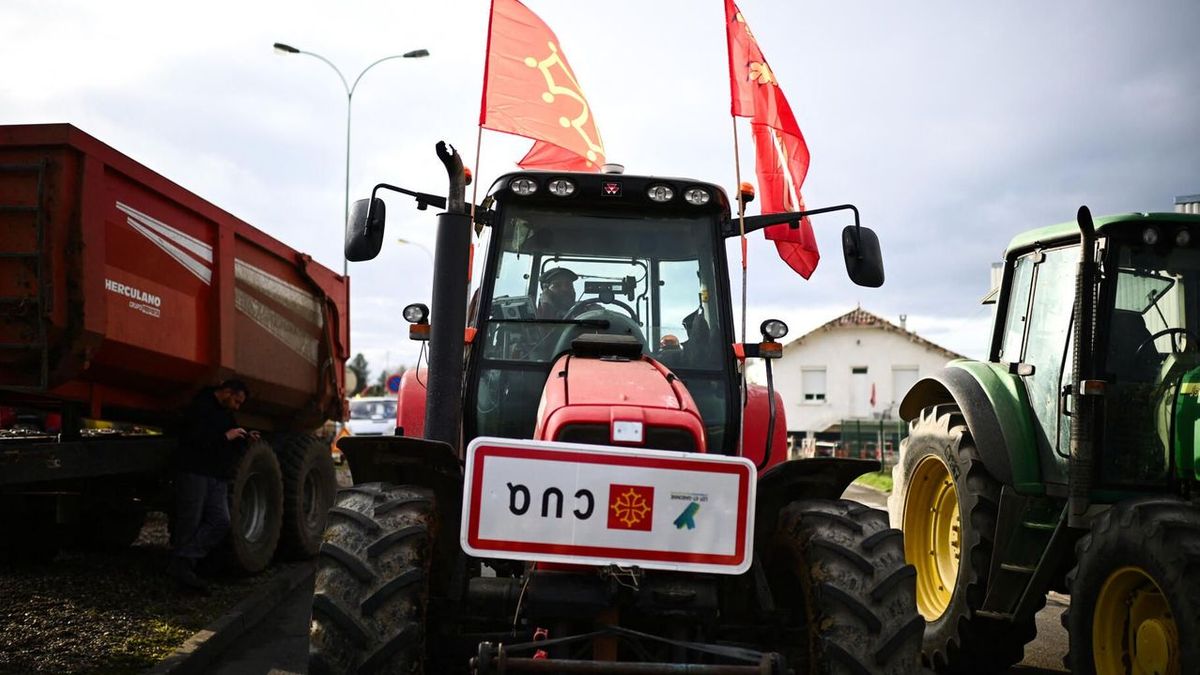 Here are the forecasts for this Wednesday following the continuation of farmers' actions