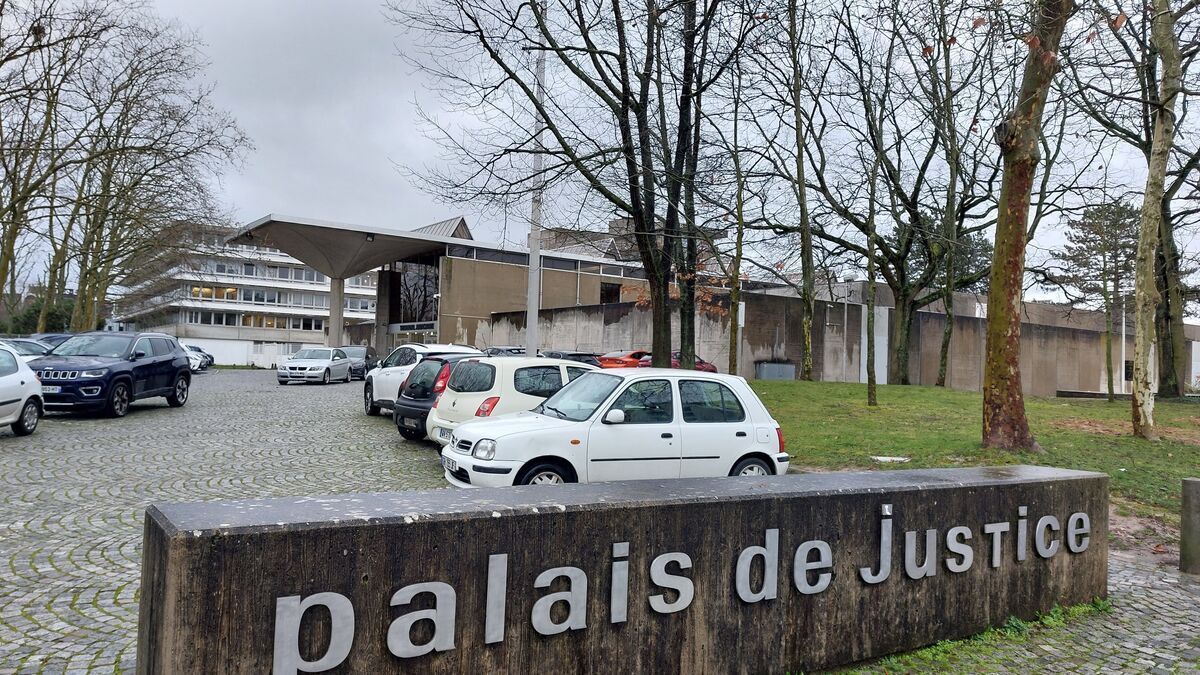 Deux individus comparaissent devant la justice pour avoir tiré à huit reprises sur leur ami dans l'Essonne, qui a miraculeusement survécu