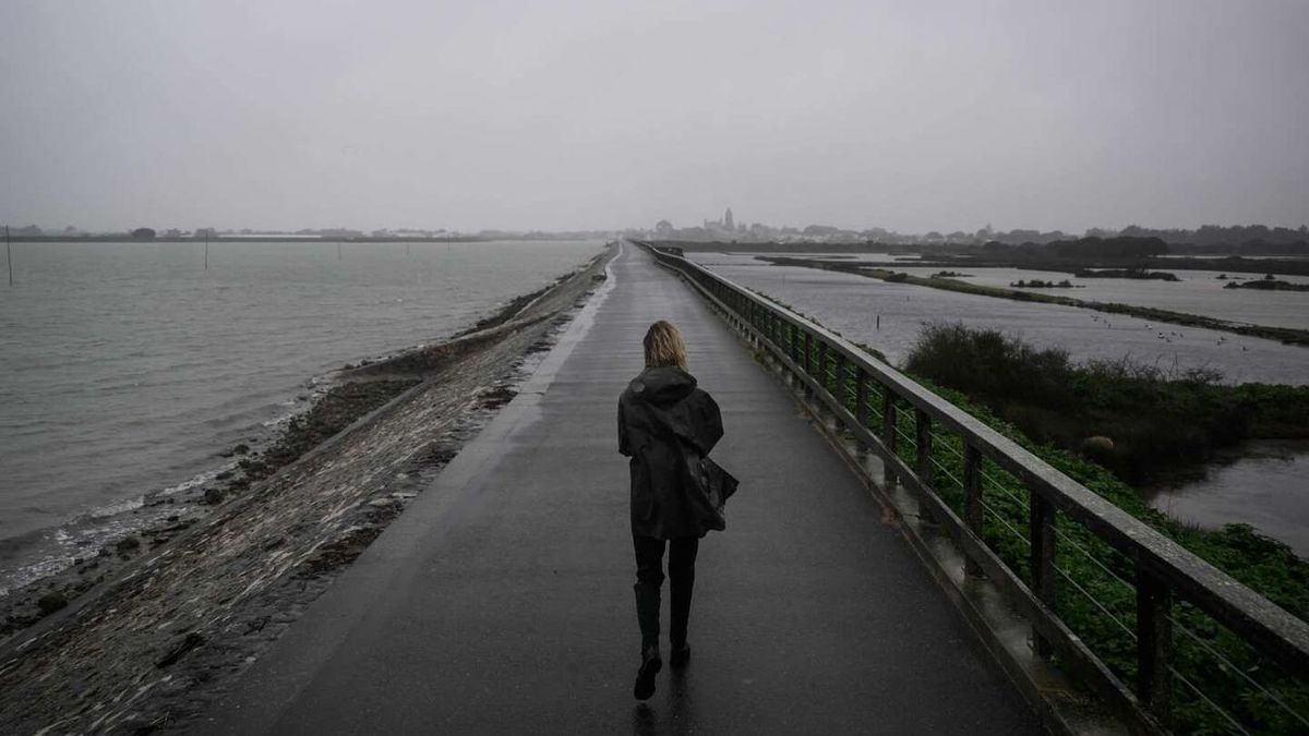 End of alerts for violent wind and flooding: one fatal victim following floods in Deux-Sèvres