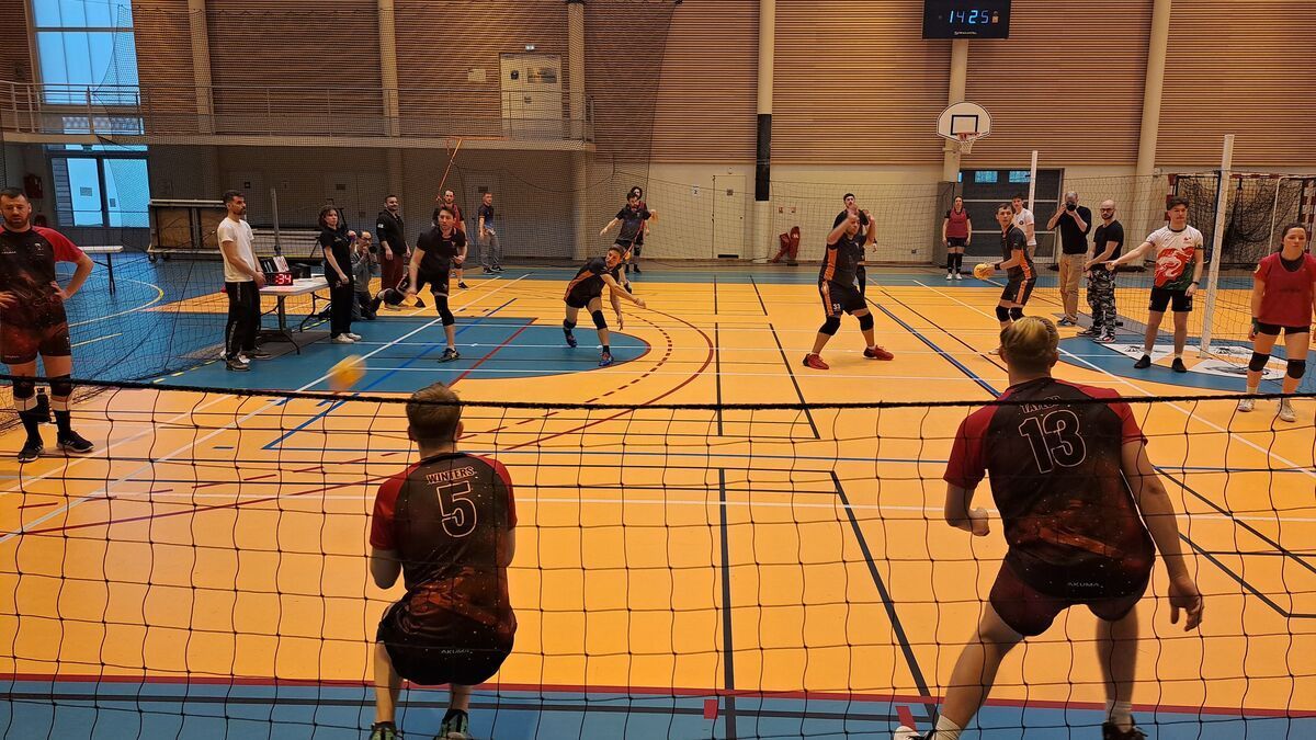 Immersion dans l'univers délirant du dodgeball en Essonne