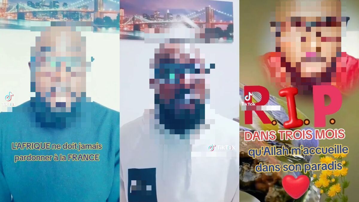 "Je ne supporte pas la France, je hais tous les Français": sur TikTok, les vidéos alarmantes de l'agresseur de la gare de Lyon en français