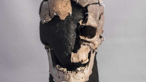 Mort d'un migrant à Vittrup il y a plus de 3 000 ans : découverte d'un Homme préhistorique dans une tourbière Danoise