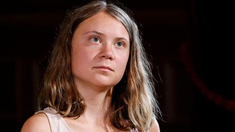Protestation contre l'autoroute A69 dans le Tarn : Greta Thunberg sera présente ce samedi