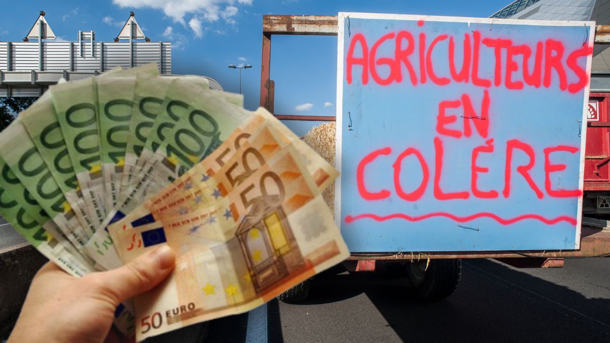 Quels sont les revenus réels des agriculteurs ? Les données de l'Insee