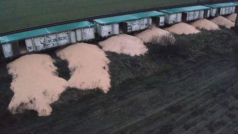 VIDÉO. Pologne : Des voies ferrées encombrées par 160 tonnes de céréales ukrainiennes déversées