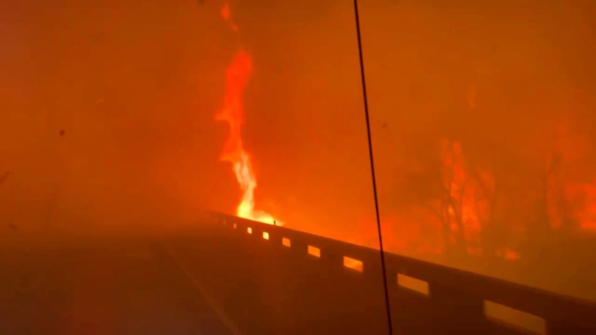 Vidéo : Incendies de forêt massifs perturbent une fabrique d'armes nucléaires au Texas