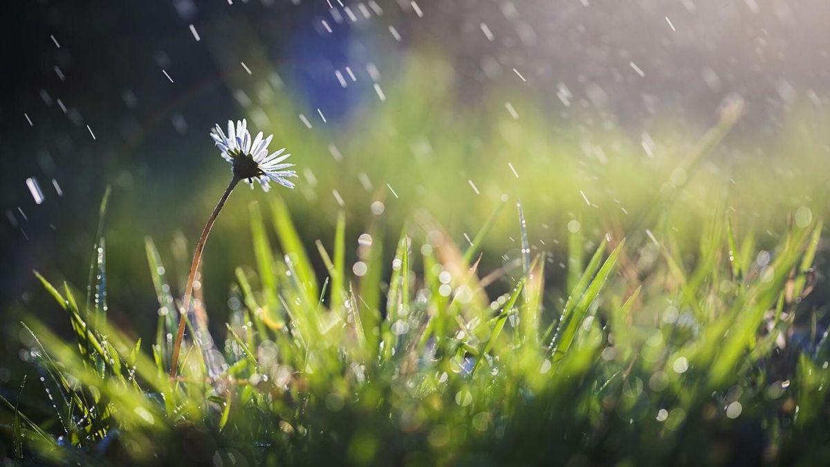 Alerte Météo-France : Prévisions de forte pluie et risque d'inondations en Dordogne et Corrèze ce week-end