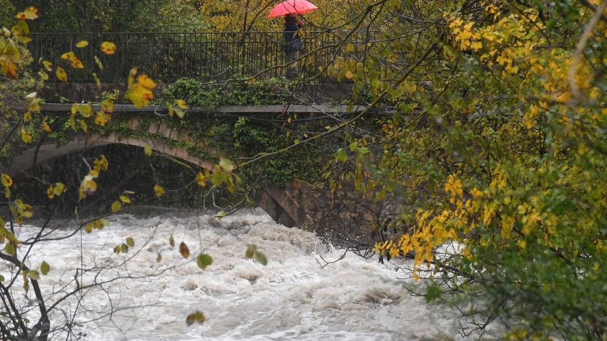 Alerte rouge pour risque d'inondations en Indre-et-Loire et Vienne; 6 000 foyers sans électricité en Auvergne-Rhône-Alpes suite à des vents violents.
