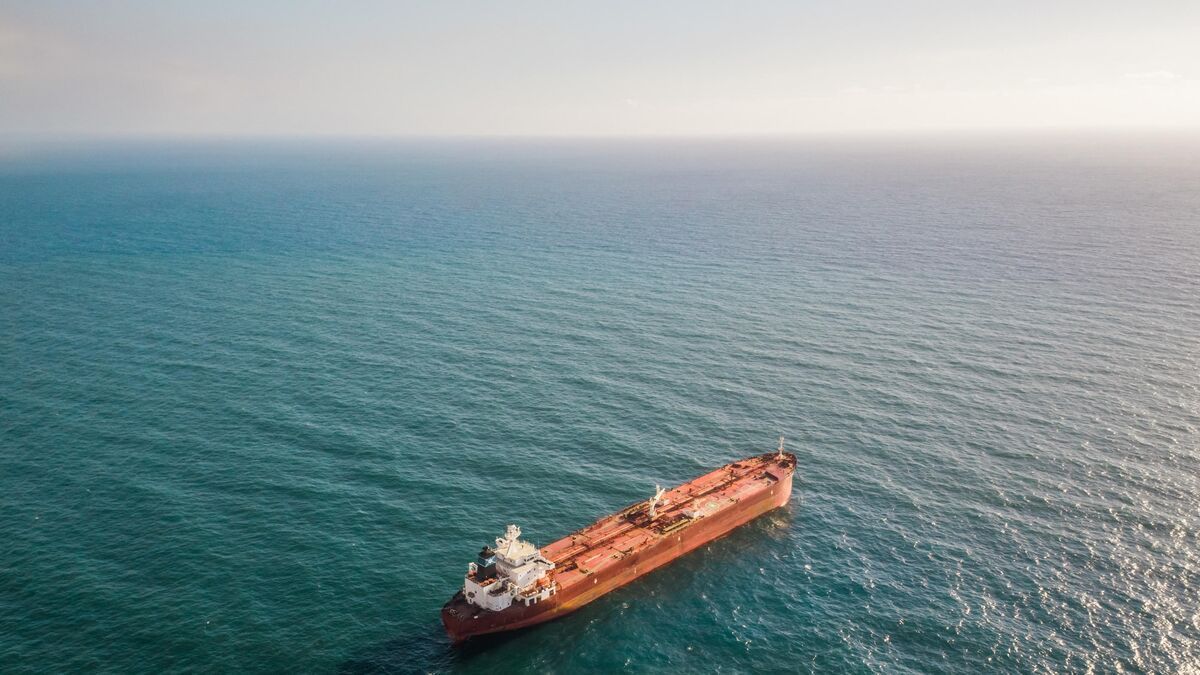 Comment le bruit des activités humaines en mer menace la vie marine : navires, plateformes offshores et forages.