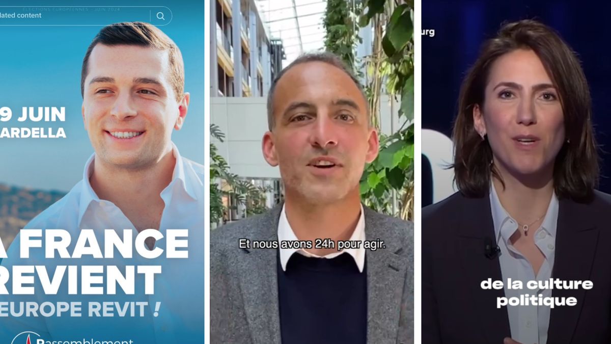Entre popularité sur les réseaux sociaux et résultats des sondages, un grand écart