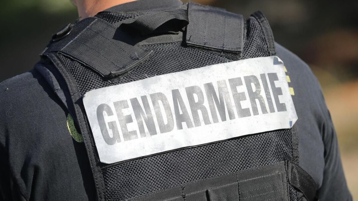 Un individu inscrit au fichier S capturé après son évasion d'un hôpital psychiatrique près d'Angers