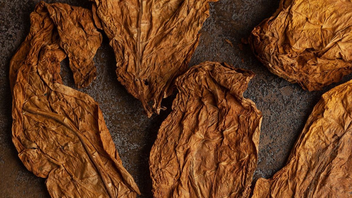 Fumeurs : pourquoi passer au papier à rouler non blanchi ?