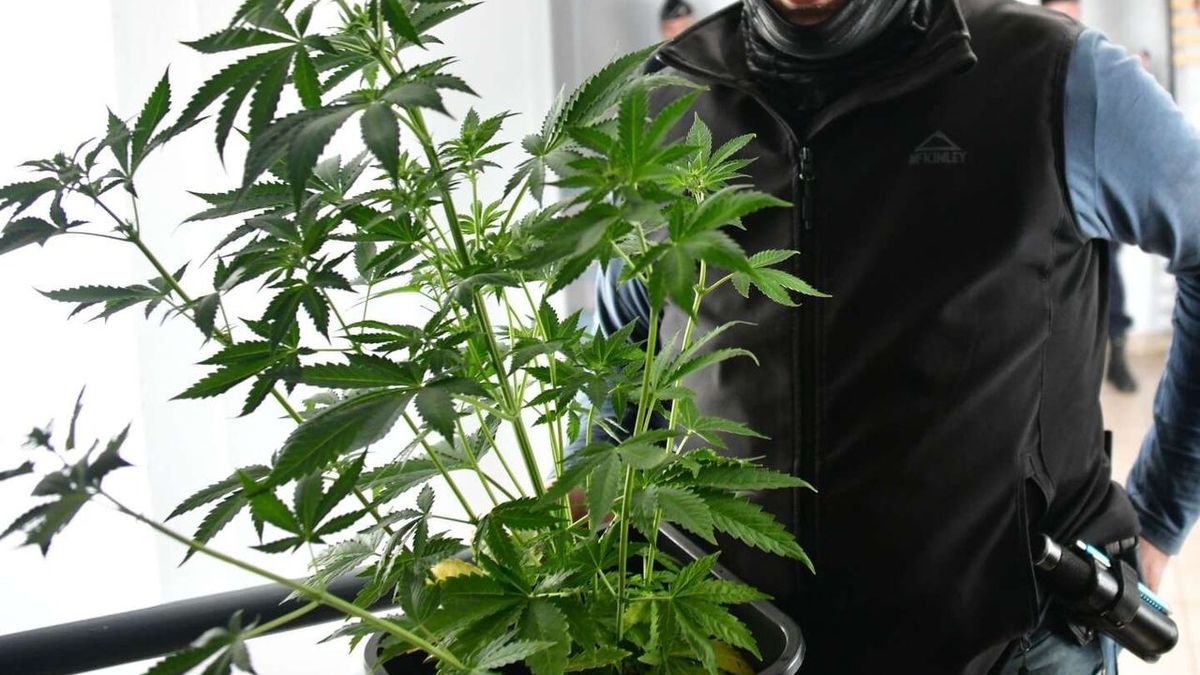 La première magistrate d'Avallon placée en détention provisoire