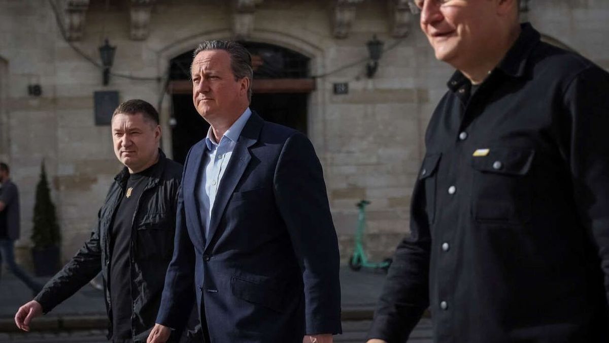 David Cameron estime que les armes fournies par le Royaume-Uni à l'Ukraine pourraient être utilisées en Russie