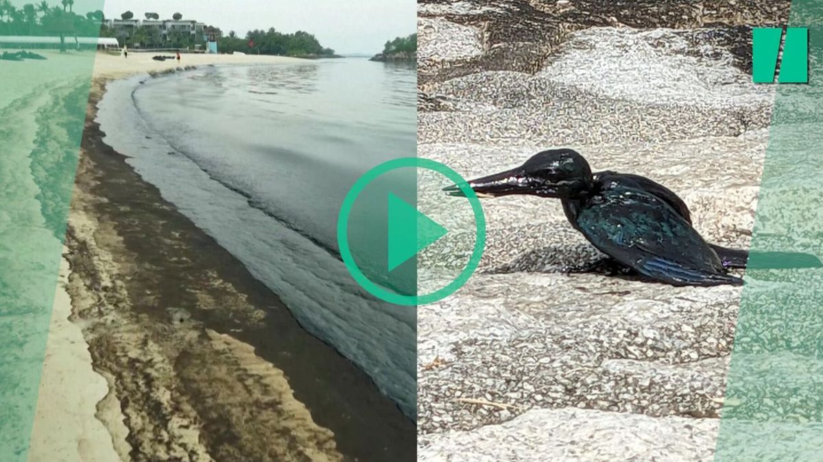Collision of two ships in Singapore: the beaches of Sentosa, tourist destination, turn black