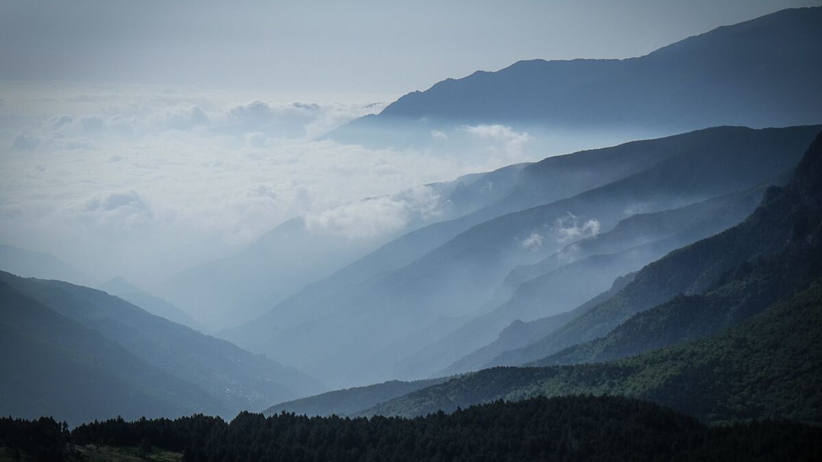 Découverte nocturne des bois des Pyrénées-Orientales
