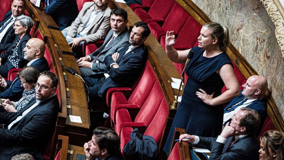 La France Insoumise demande l'intervention du Conseil constitutionnel contre le vote des 17 députés ministres démissionnaires